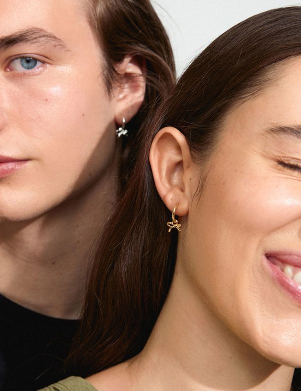 Lysandra hoops  Gull - Pilgrim