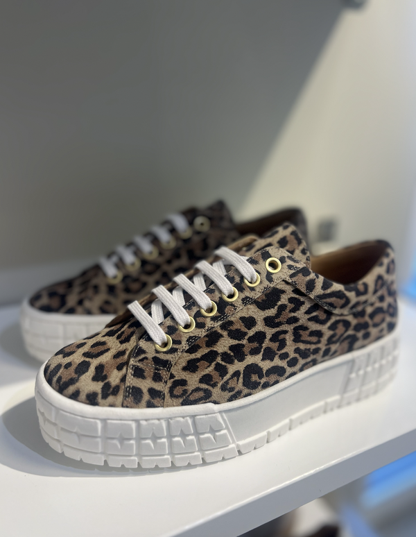 Kasama Moreda Leopard - KMB